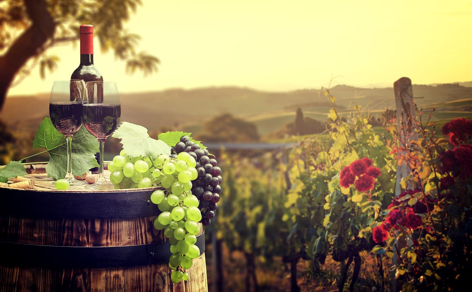 Montelle Winery in Defiance, Missouri – A Scenic Escape